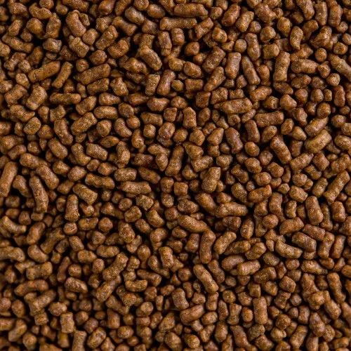 Гречаний чай (Ку Цяо)